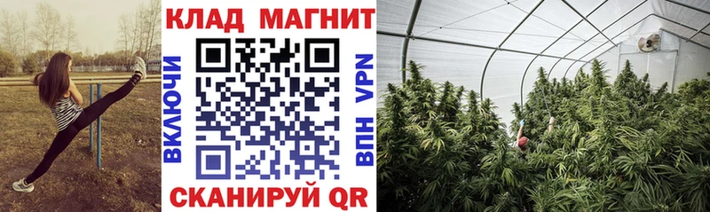 Как найти закладки Моршанск ГАШ  АМФЕТАМИН  Альфа ПВП  kraken ссылки  NBOMe  Бошки Шишки  Мефедрон 