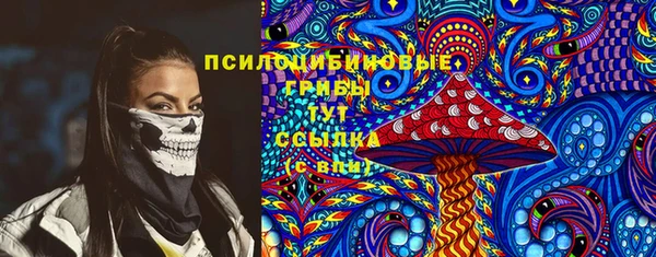 МДПВ Белокуриха