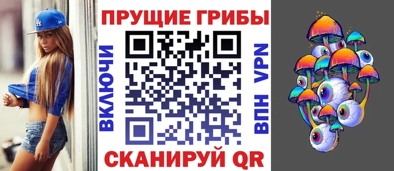 Галлюциногенные грибы Psilocybe  где купить наркотик  Моршанск 